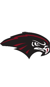 A bird with a black beak and red eyes. Description generated by AI