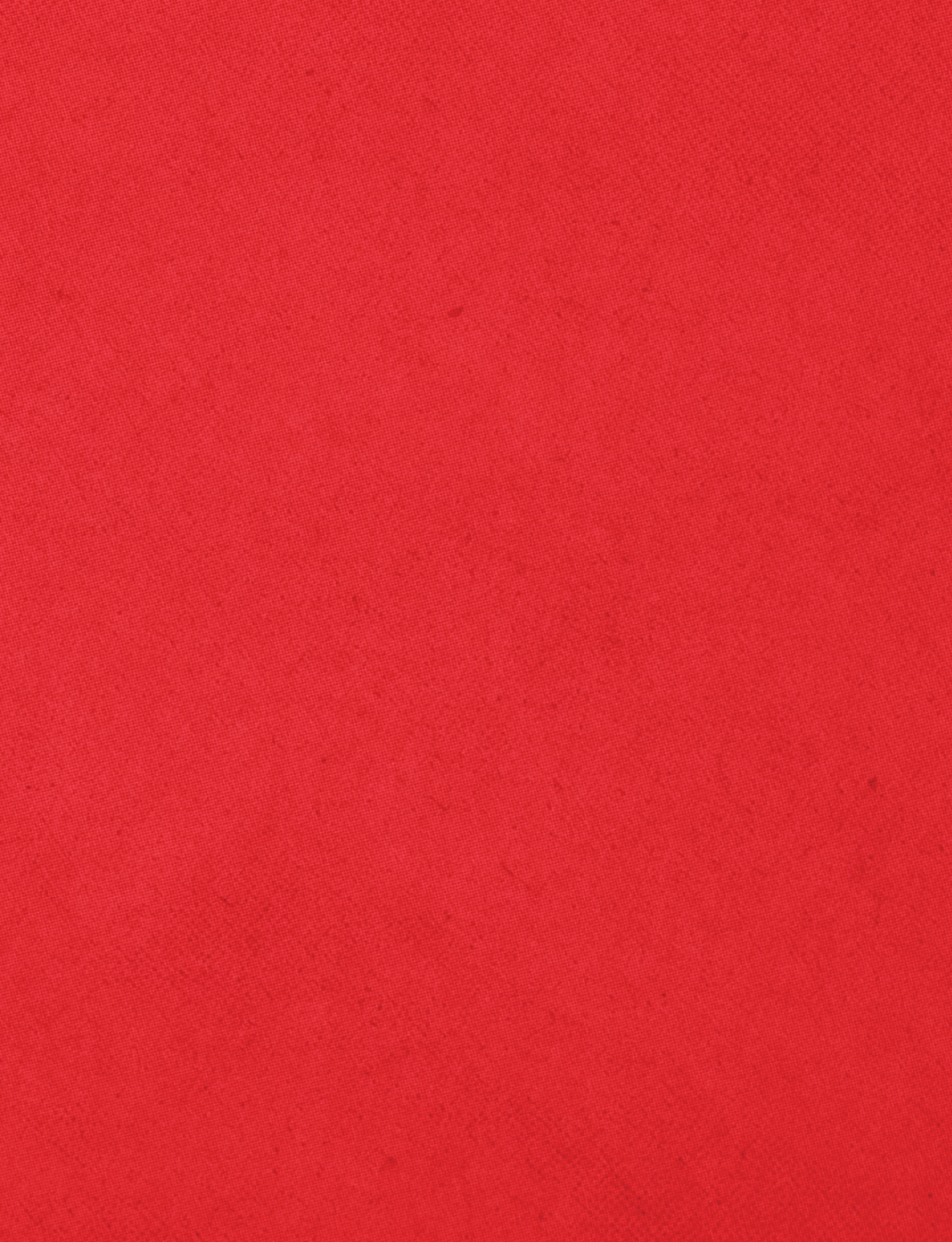 A red cloth with a white stripe. Description generated by AI