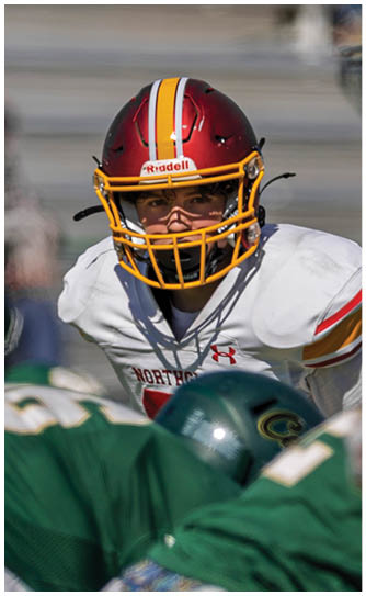 A football player wearing a red and yellow jersey with the number 20. Description generated by AI