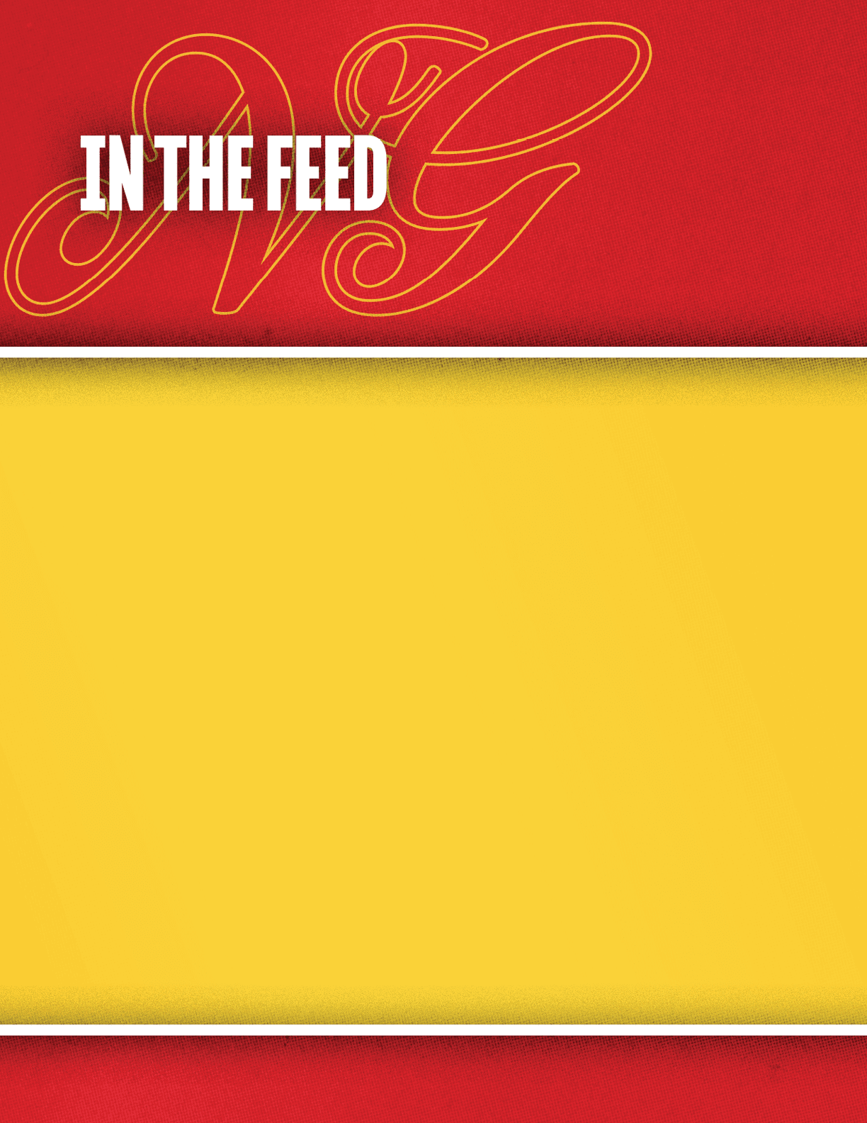 A yellow and red background with the word “In the Feed" written in black. Description generated by AI