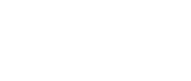 81