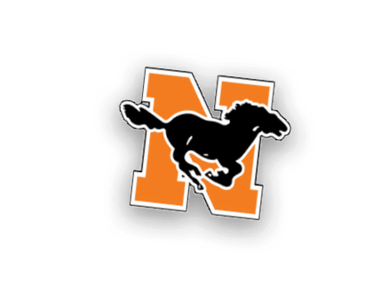 A stylized red cardinal bird head with a fierce expression, black markings around the eye, and a yellow beak outlined in black. Description generated by AI