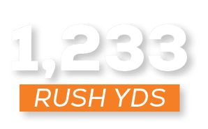 RUSH YDS,1,23