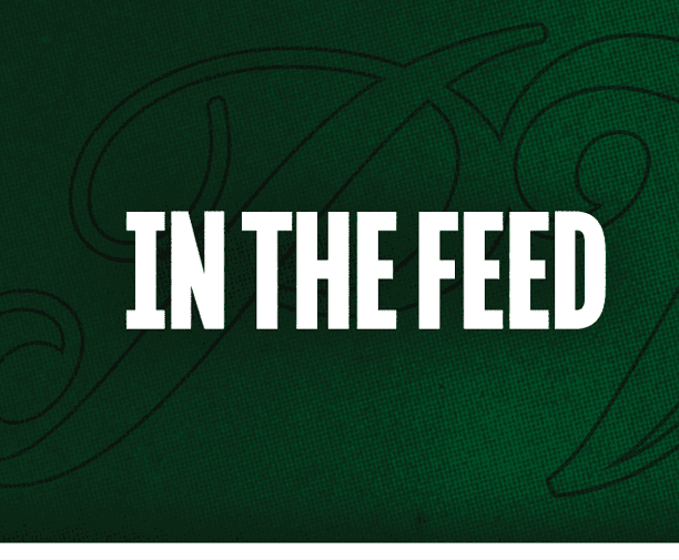 The text “IN THE FEED" is displayed in bold white capital letters on a dark green textured background with a faint decorative pattern. Description generated by AI