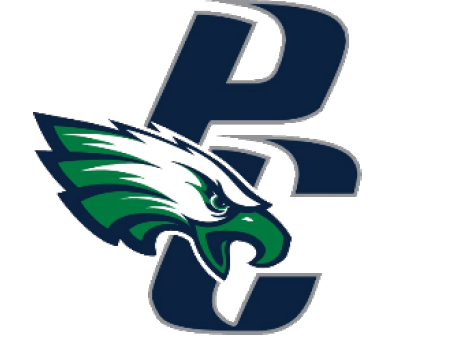 A green and white eagle with a blue P on its chest. Description generated by AI