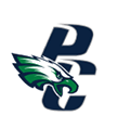 A stylized eagle head in green, white, and blue is positioned in front of large overlapping dark blue letters “P" and "C". Description generated by AI