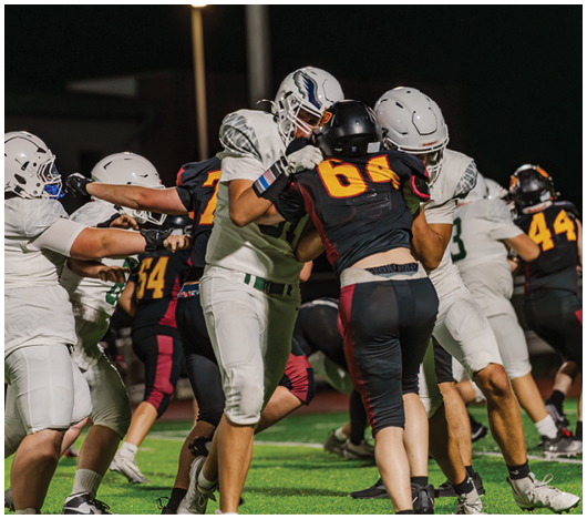 Adults wearing football uniforms are engaged in a play on a green field during a game. Description generated by AI