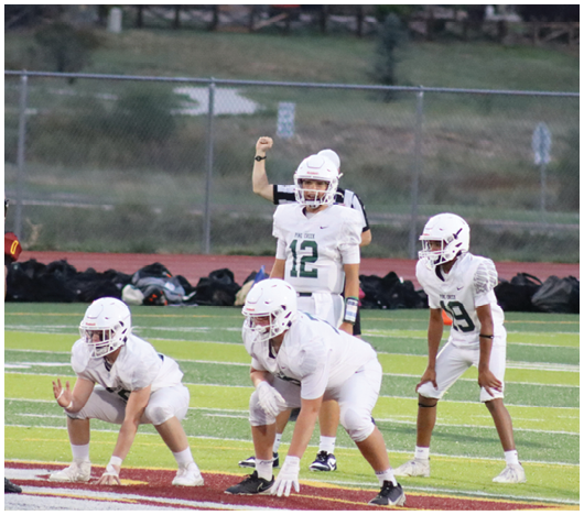 People in football uniforms are positioned on a field with one team in white preparing for a play against an opposing player in black and red. Description generated by AI