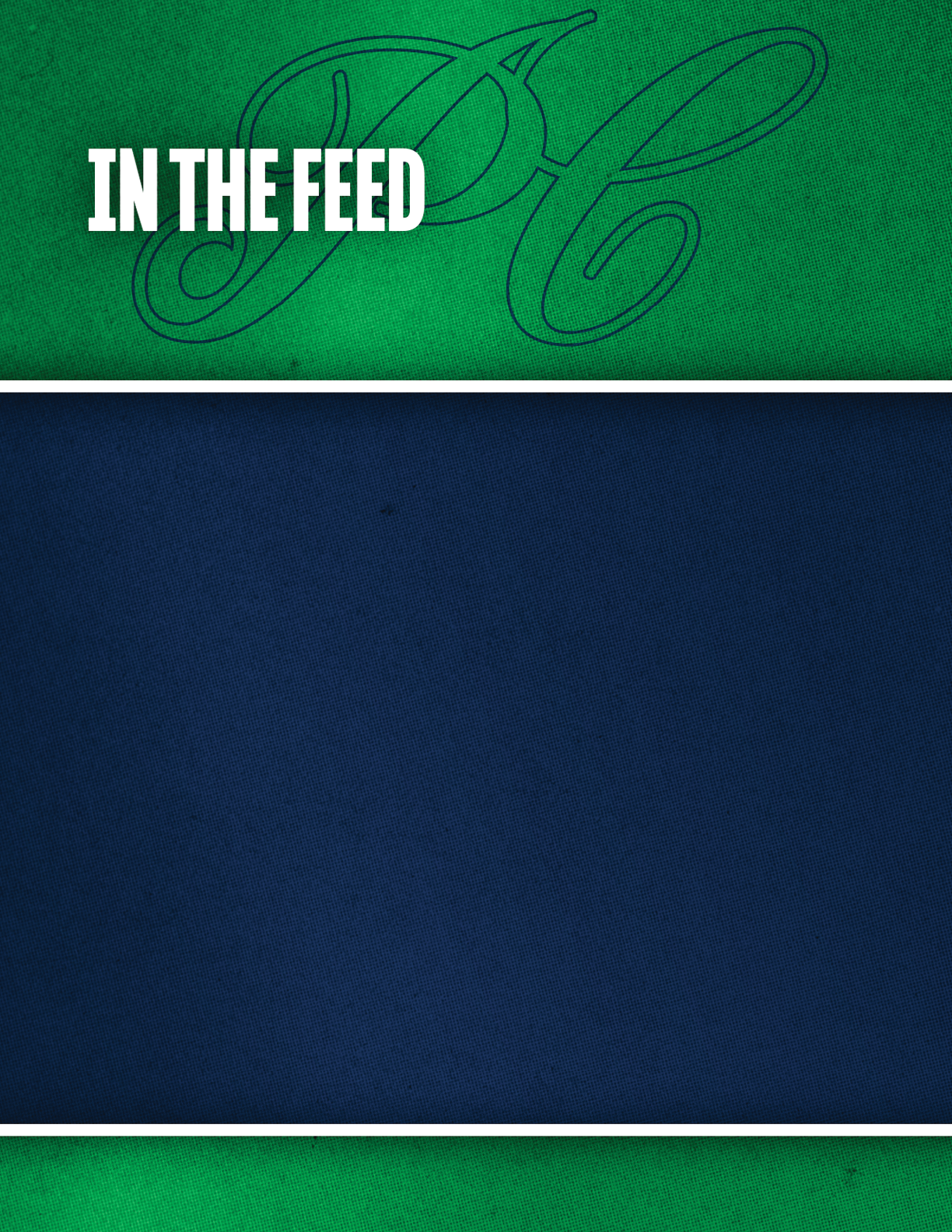 A green textured background with the letters “DC" faintly visible and the words "IN THE FEED" in bold white text above a solid dark blue textured area. Description generated by AI
