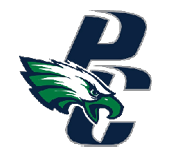 A green and white eagle with a blue P on its chest. Description generated by AI