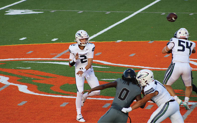 A football player wearing a blue and white jersey with the number 11 on it. Description generated by AI