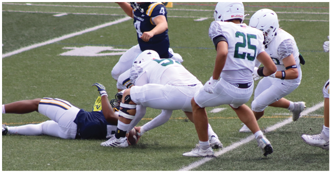 Several people in football uniforms are engaged in a play on a grassy field with one person on the ground holding the ball while others are reaching or moving toward them. Description generated by AI