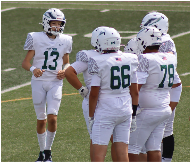A group of people wearing white football uniforms and helmets are standing on a green field, with one person facing the others. Description generated by AI