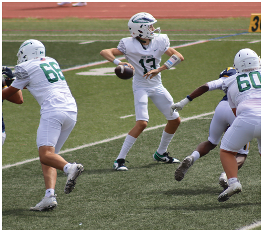A group of people in white football uniforms are playing on a green field with one person preparing to throw a football. Description generated by AI