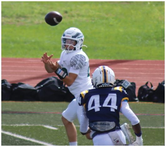 A person in a white football uniform is preparing to catch a football while another person in a dark blue and yellow football uniform faces them on a field. Description generated by AI