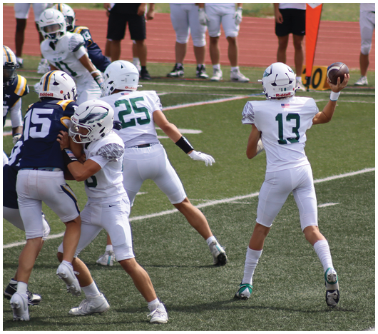 People in football uniforms are actively engaged in a game on a field with one person preparing to throw a football. Description generated by AI