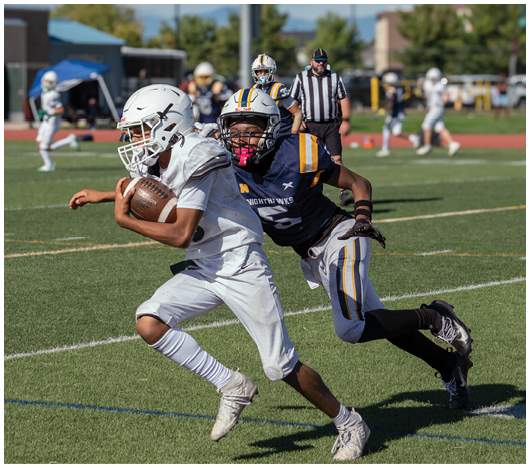 A person in white sports gear is running with a football while being closely pursued by a person in dark blue and yellow sports gear on a grassy field with other players and a referee in the background. Description generated by AI