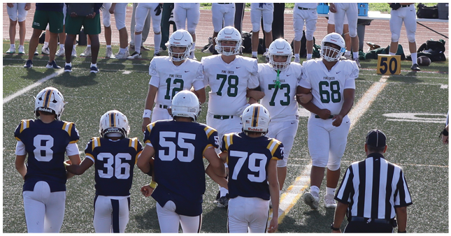 Four football players in dark jerseys and white pants walk hand in hand with four players in white jerseys and pants on a field while a referee stands nearby. Description generated by AI