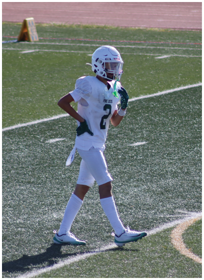 A person wearing a white football uniform and helmet is walking on a green turf field during a game or practice. Description generated by AI