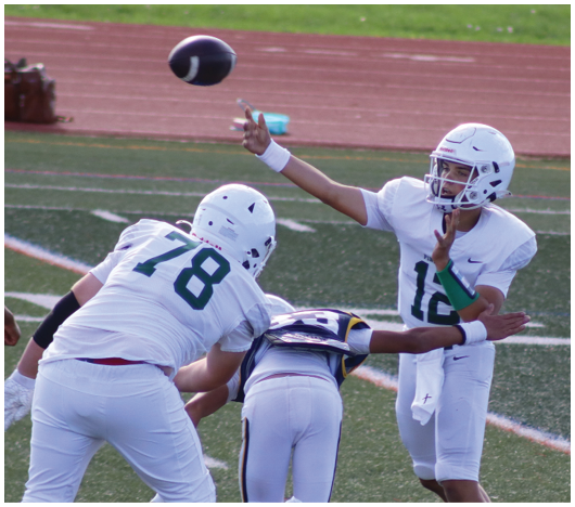 Two people in football uniforms are engaged in a play on a field with one person reaching out toward a football in midair. Description generated by AI
