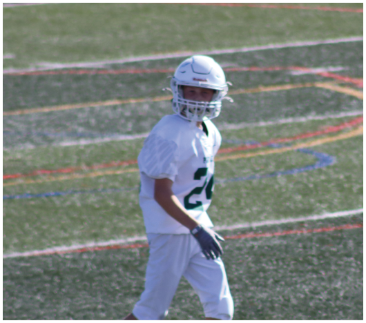 A person wearing a white football helmet and white jersey stands on a grassy field with sports lines. Description generated by AI