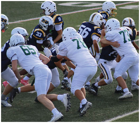 People in football uniforms are engaged in a play on a grassy field with some players blocking and others preparing to move. Description generated by AI