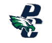 A logo for the Philadelphia Eagles football team. Description generated by AI