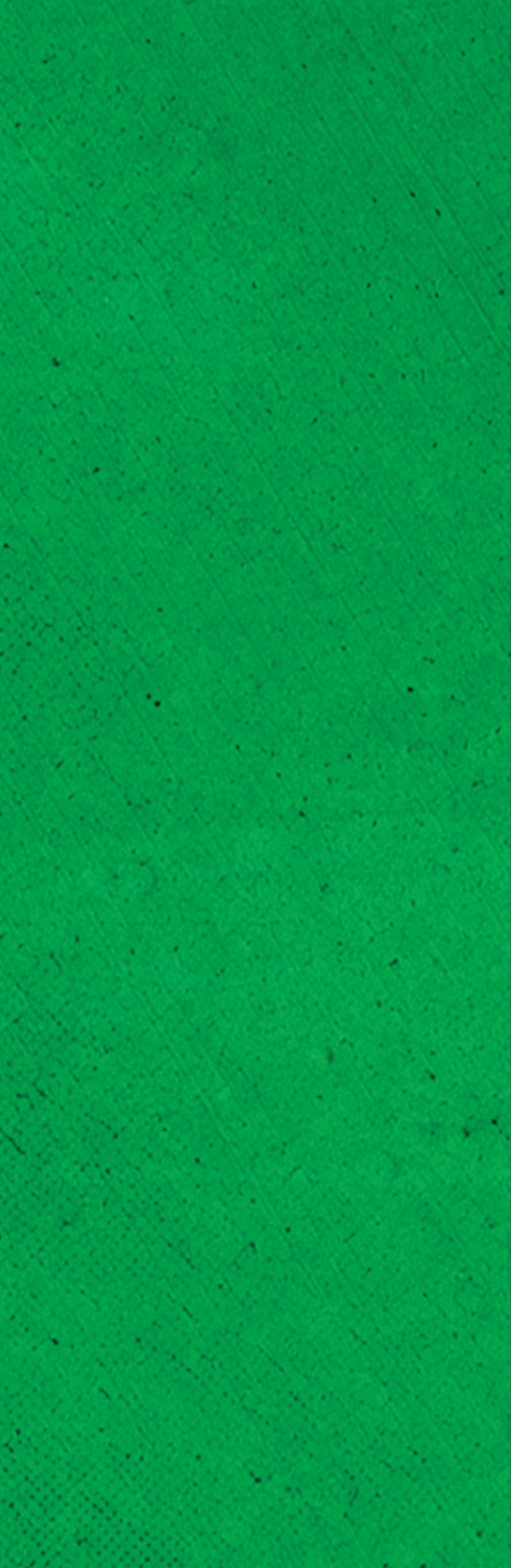 Green background with a white border. Description generated by AI