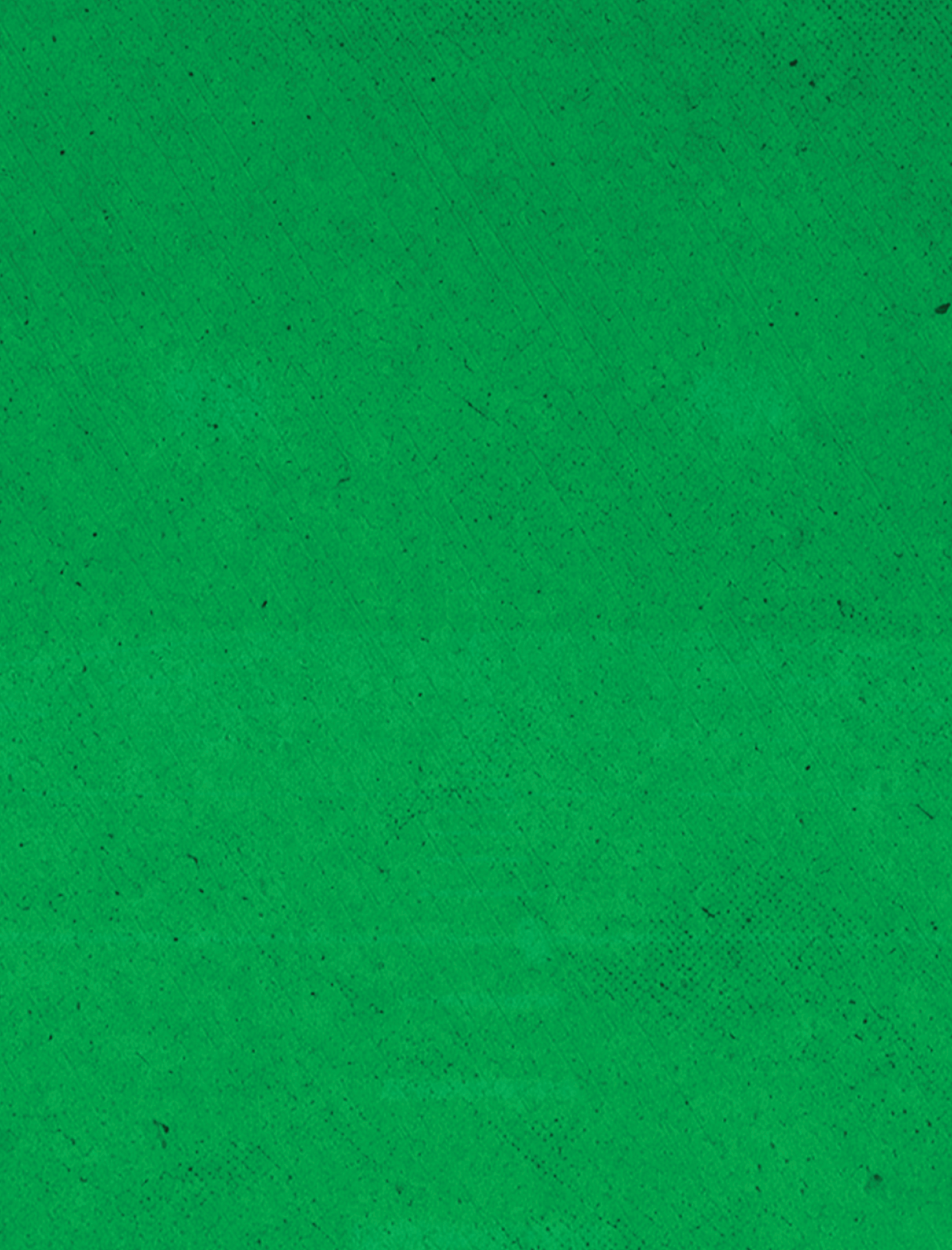 Green background with a white border. Description generated by AI