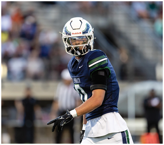 A person wearing a football uniform and helmet is standing on a field with a blurred crowd in the background. Description generated by AI