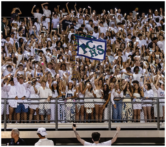 A large crowd of people dressed mostly in white are cheering enthusiastically in stadium bleachers, with some holding up a flag and others raising their arms or phones. Description generated by AI