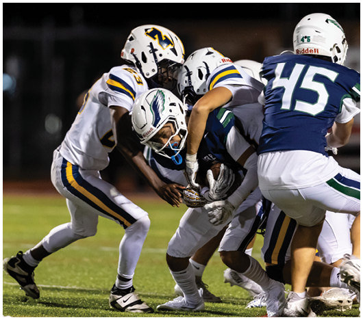 Several people in football uniforms are engaged in a tackle on a grassy field during a game. Description generated by AI