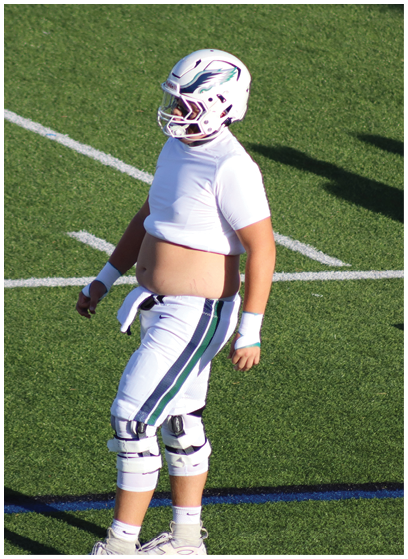 A person in a white football uniform with red accents is holding a football and appears to be running during a game. Description generated by AI