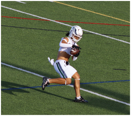 Several football players in helmets and uniforms are engaged in a tackle on a field with yard lines visible. Description generated by AI