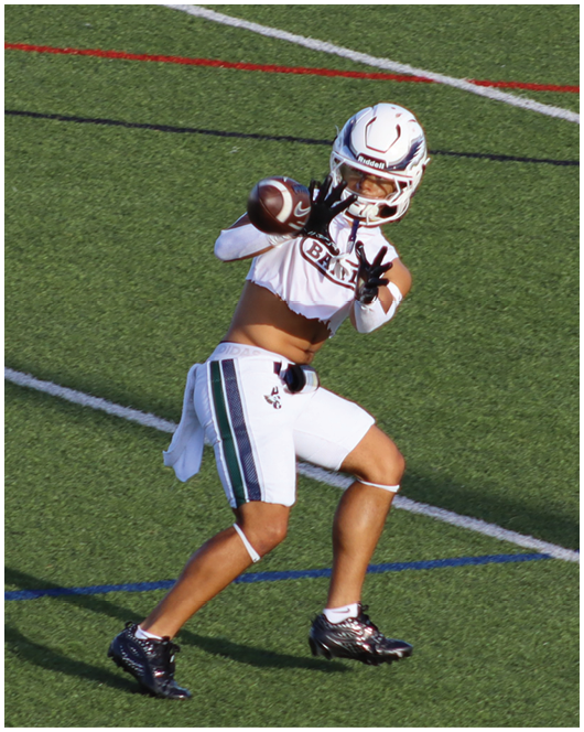 Several football players in helmets and uniforms are engaged in a tackle on a field with yard lines visible. Description generated by AI