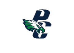 A green and white eagle with a blue P on its chest. Description generated by AI