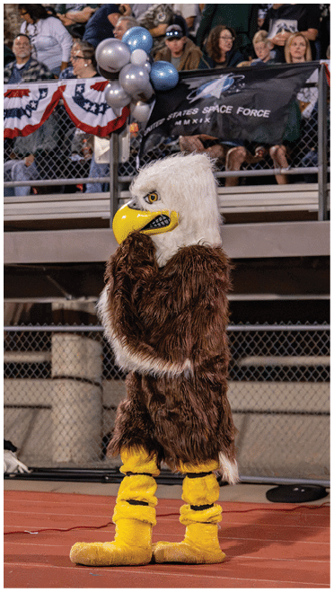 A group of people in bleachers watch an event while holding a flag with the words “Space Force" and red, white, and blue bunting hangs on the railing. Description generated by AI