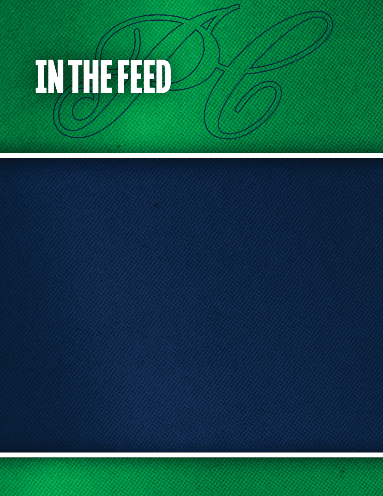 A green textured background with the letters “DC" faintly visible and the words "IN THE FEED" in bold white text above a solid dark blue textured area. Description generated by AI