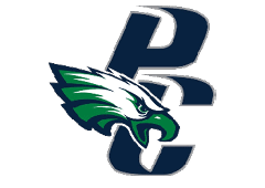 A green and white eagle with a blue P on its chest. Description generated by AI