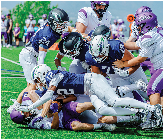 A person in a blue and white football uniform is kicking a ball held by another person kneeling on the ground while two people in white uniforms jump to block the kick on a sports field. Description generated by AI