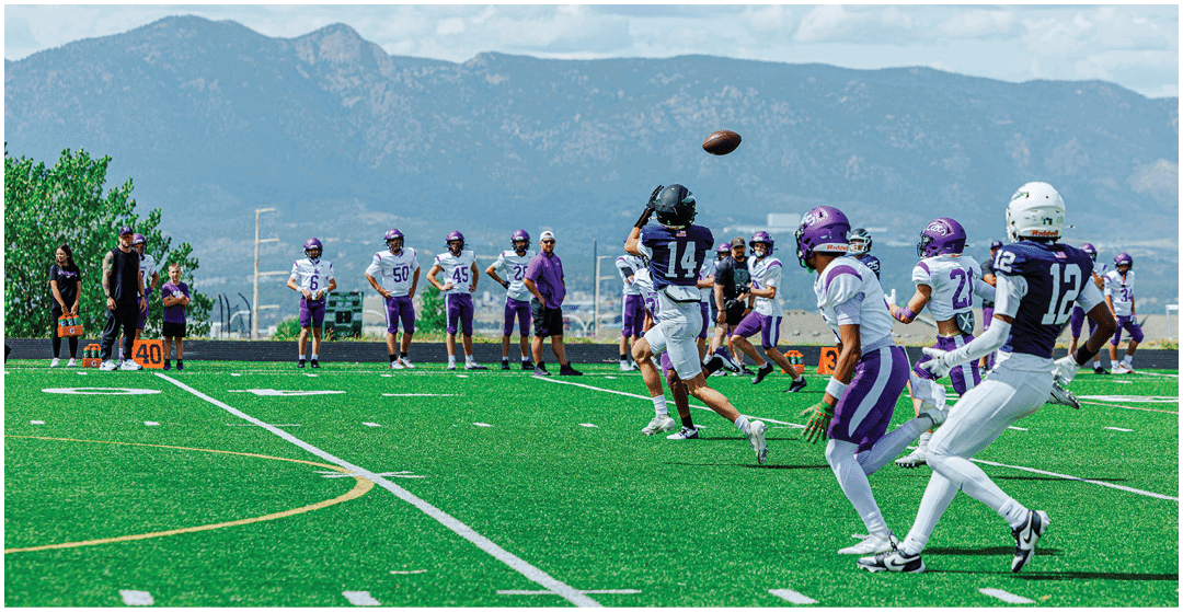 People in football uniforms are playing on a green field with mountains in the background, with one person catching a football mid-air. Description generated by AI