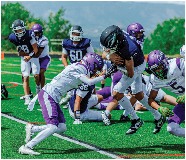 People wearing football uniforms are actively playing on a green field with one person in white and purple attempting to tackle another person in dark blue and white holding the ball. Description generated by AI