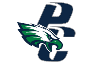 A green and white eagle with a blue P on its chest. Description generated by AI