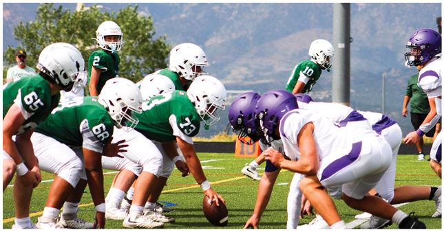 Two opposing American football teams in green and white and purple and white uniforms are lined up facing each other on a grassy field preparing for a play. Description generated by AI