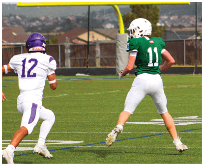 Two people in football uniforms are on a field near a goalpost, with one wearing a green jersey and the other wearing a white jersey. Description generated by AI