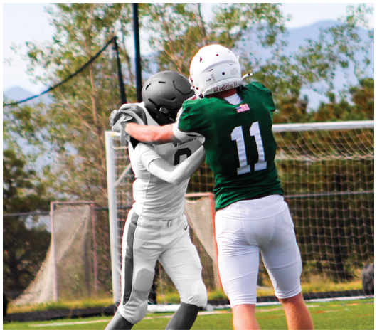 Two people wearing helmets and football uniforms are engaged in a physical play near a goalpost on an outdoor field with trees and mountains in the background. Description generated by AI