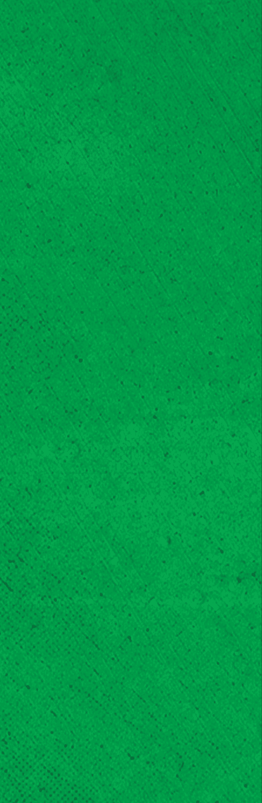 Green background with a white border. Description generated by AI