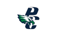 A green and white eagle with a blue P on its chest. Description generated by AI