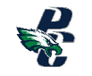 A logo for the Philadelphia Eagles football team. Description generated by AI