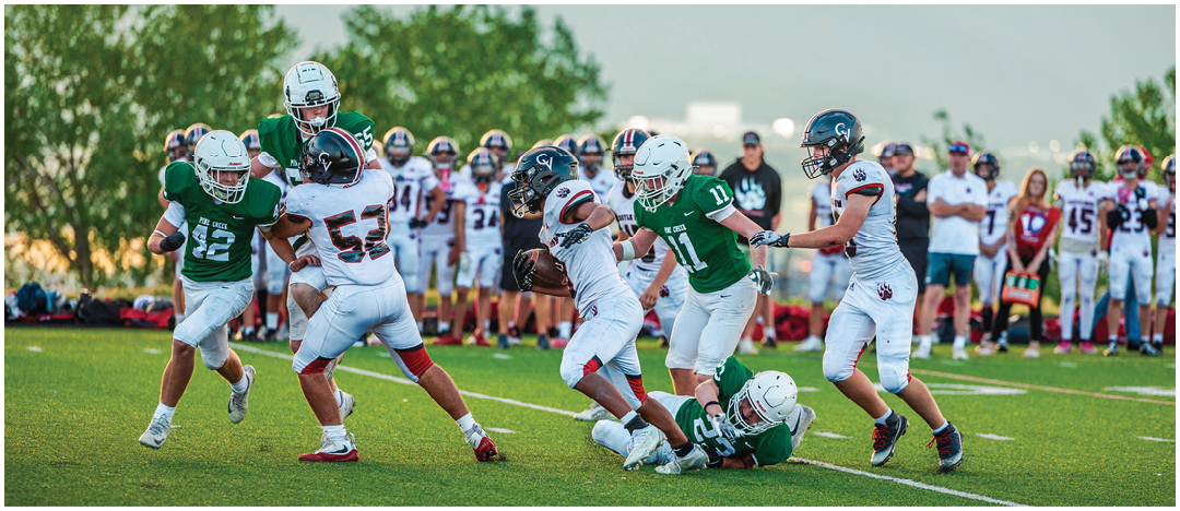 Five people in football uniforms stand on a field facing three other people in green and white football uniforms with helmets under a blue sky. Description generated by AI